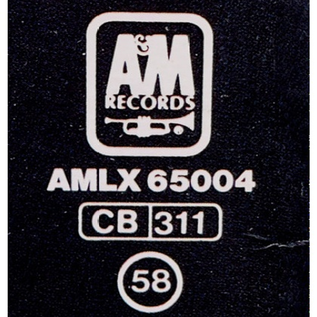 ROGER HODGSON - IN THE EYE OF THE STORM / VINILO USADO 7