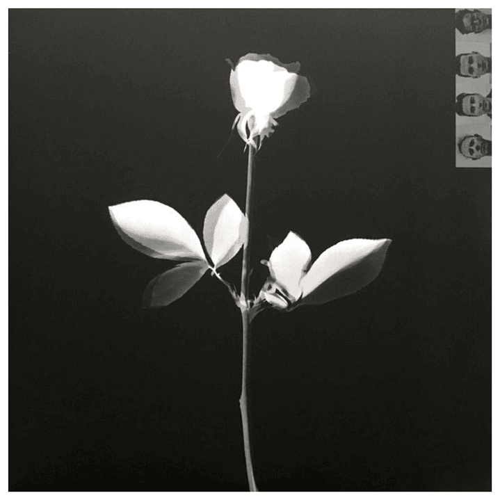 DEPECHE MODE - VIOLATOR (ED. 2016 GATEFOLD) / VINILO 4