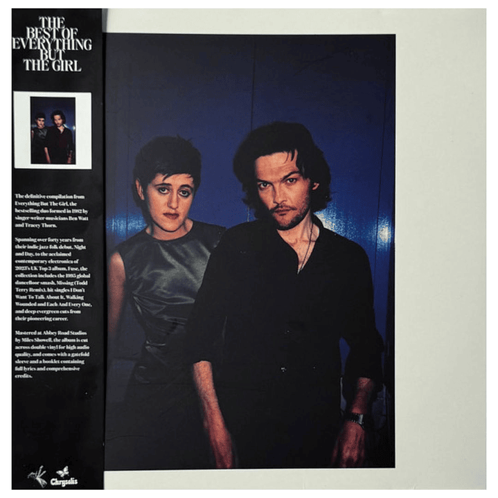 EVERYTHING BUT THE GIRL - BEST OF (2LP) / VINILO 4