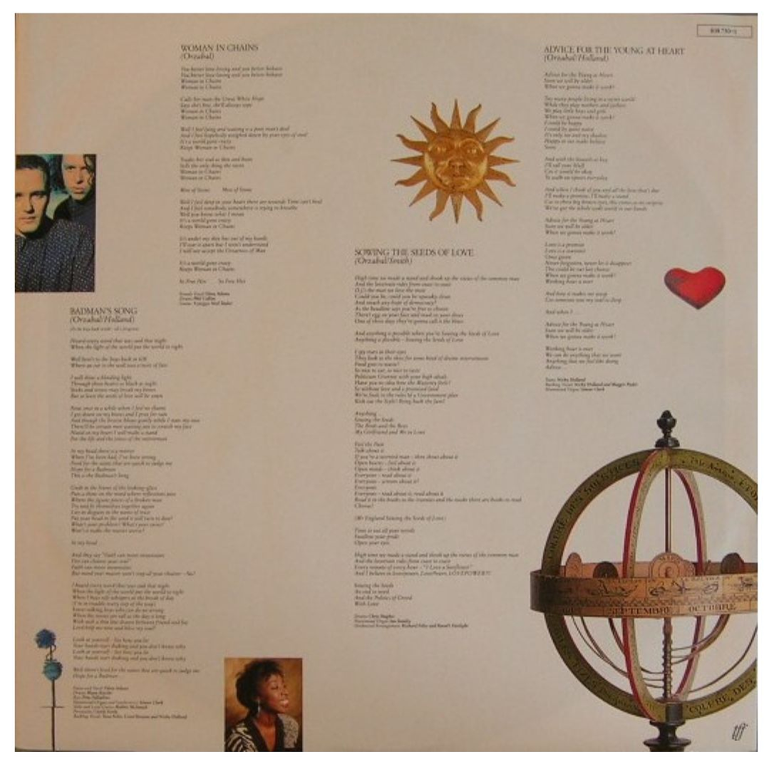 TEARS FOR FEARS - THE SEEDS OF LOVE (SPAIN) / VINILO USADO 2