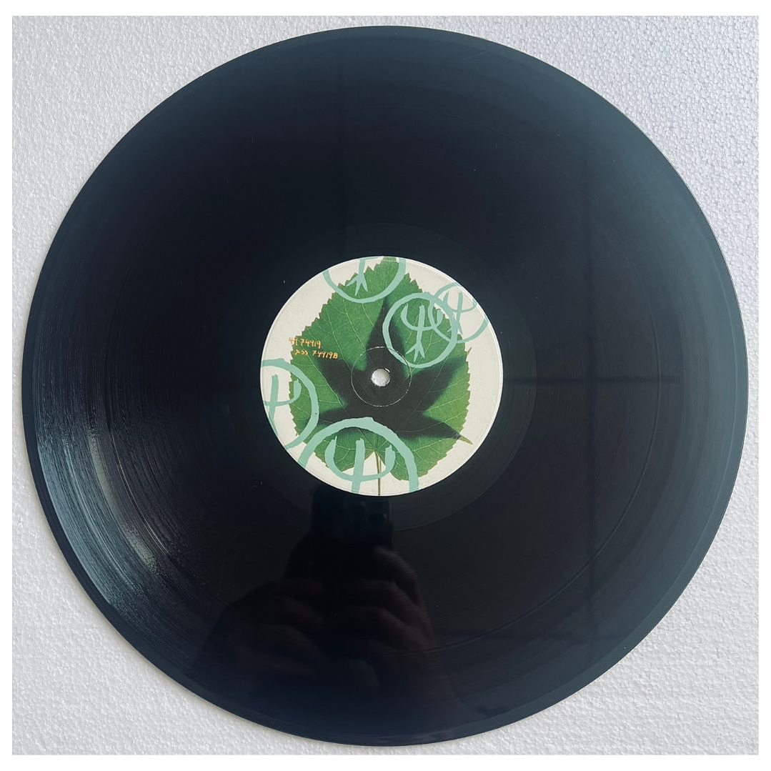 DEEP FORREST - SWEET LULLABY / 12