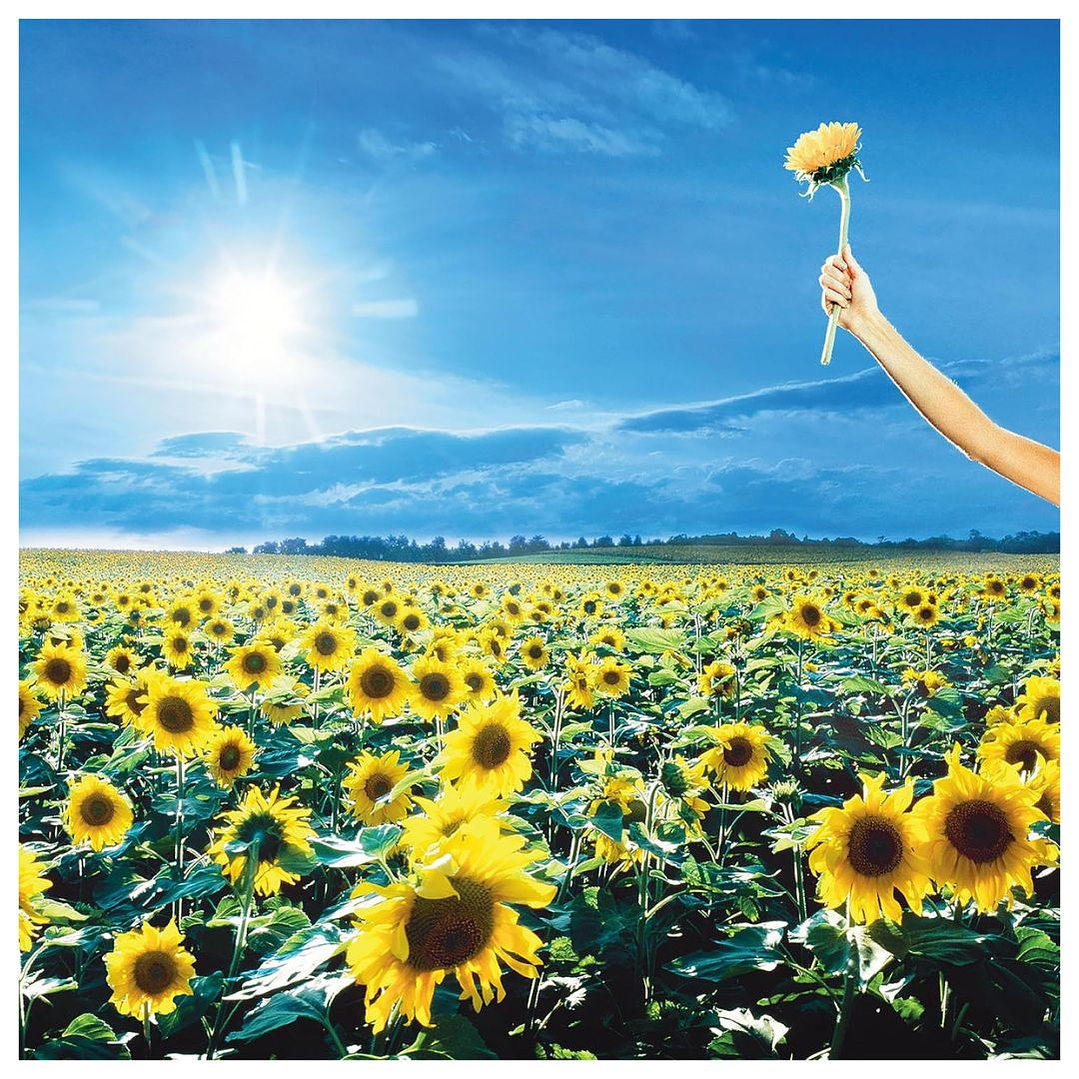 STONE TEMPLE PILOTS - THANK YOU: GREATEST HITS (2LP) / VINILO 1