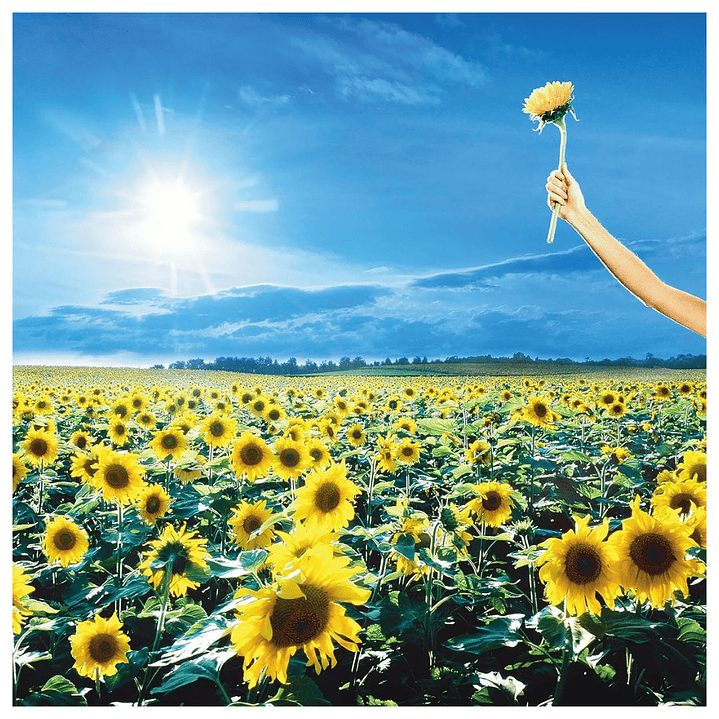 STONE TEMPLE PILOTS - THANK YOU: GREATEST HITS (2LP) / VINILO 1