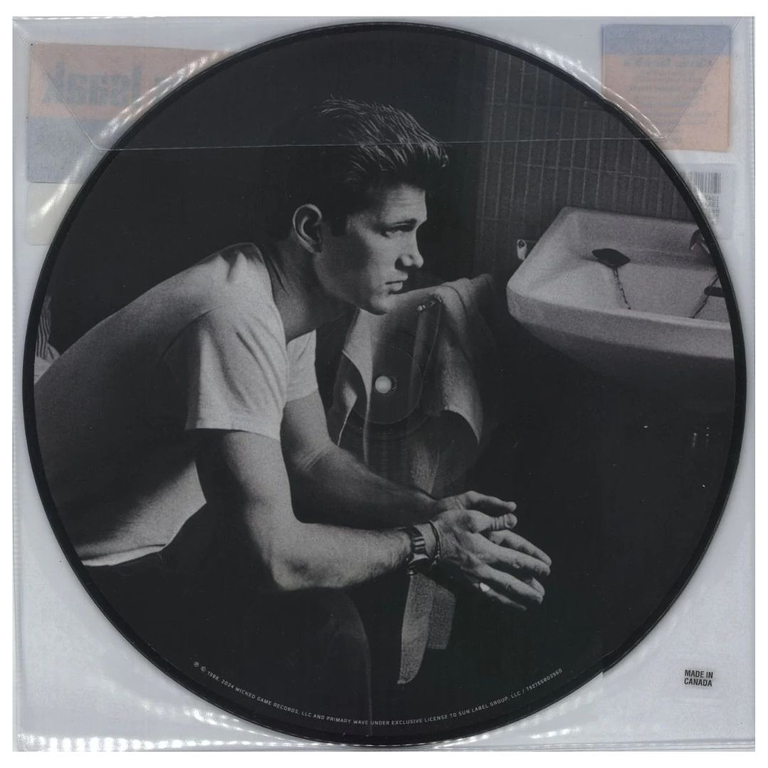CHRIS ISAAK	- HEART SHAPED WORLD (PICTURE DISC) 35TH / VINILO 2