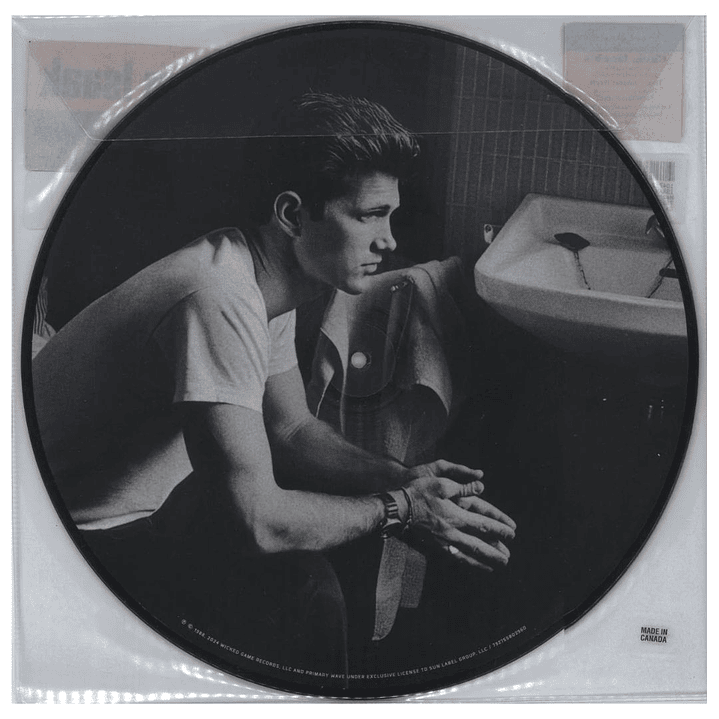 CHRIS ISAAK	- HEART SHAPED WORLD (PICTURE DISC) 35TH / VINILO 2