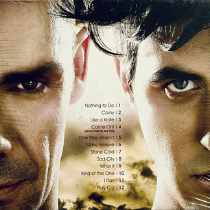 THE PLUGIN - THE PLUGIN / CD