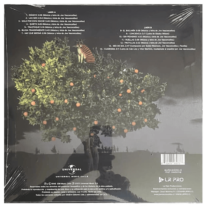 JOE VASCONCELLOS - TOQUE 30 AÑOS  VINILO 2