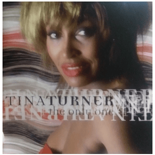 TINA TURNER - THE ONLY ONE / CD USADO