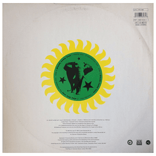 BAND NEW HEAVIES - DREAM COME TRUE / 12