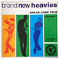 BAND NEW HEAVIES - DREAM COME TRUE / 12