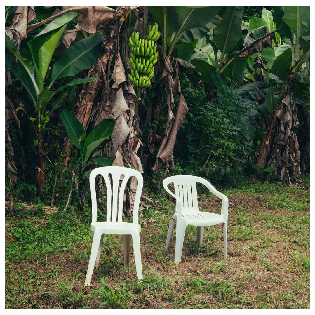 BAD BUNNY - DEBI TIRAR MAS FOTOS (2LP) / VINILO 1