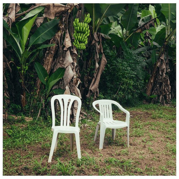 BAD BUNNY - DEBI TIRAR MAS FOTOS (2LP) / VINILO 1