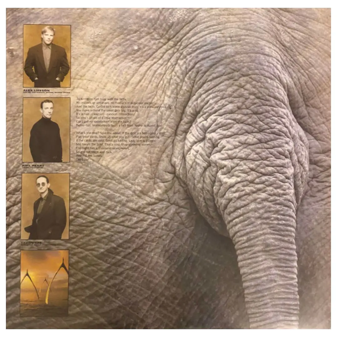 RUSH - ROLL THE BONES / VINILO 4