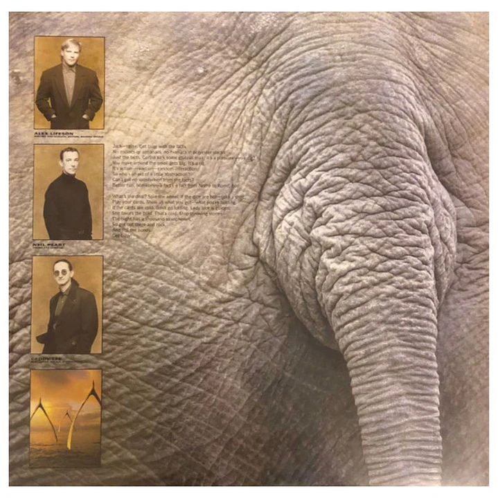 RUSH - ROLL THE BONES / VINILO 4