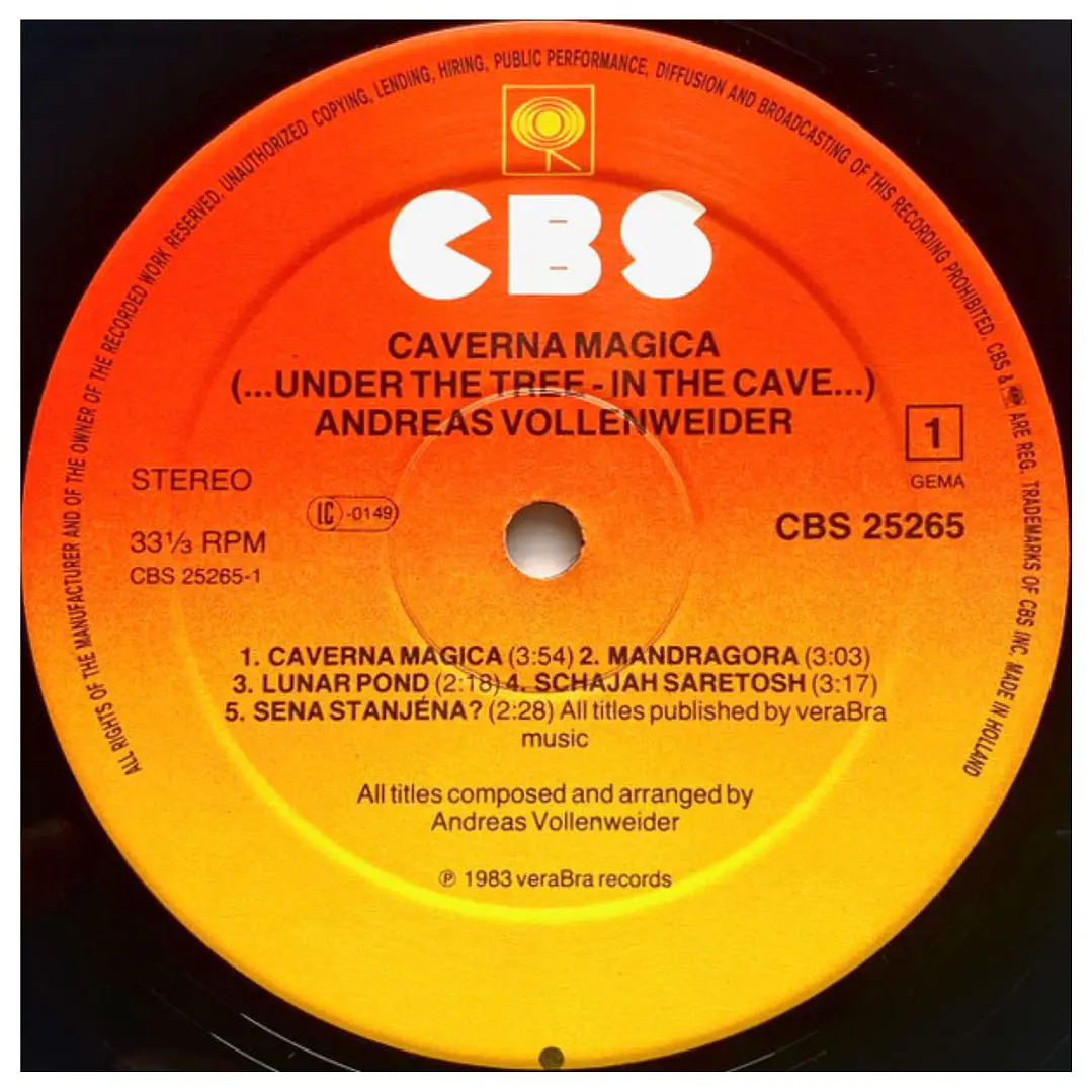 ANDREAS VOLLENWEIDER - CAVERNA MAGICA (UNDER THE TREE - IN THE CAVE...) / VINILO USADO 3