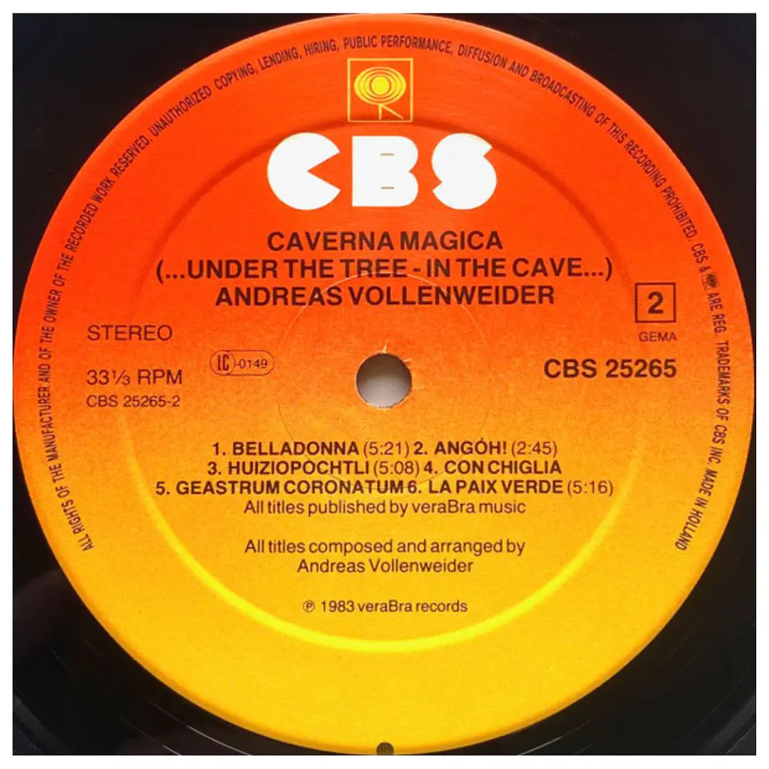 ANDREAS VOLLENWEIDER - CAVERNA MAGICA (UNDER THE TREE - IN THE CAVE...) / VINILO USADO 4