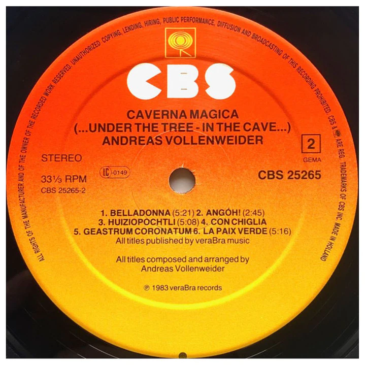 ANDREAS VOLLENWEIDER - CAVERNA MAGICA (UNDER THE TREE - IN THE CAVE...) / VINILO USADO 4