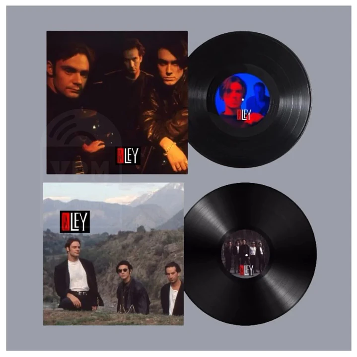 LA LEY - DESIERTOS (2LP) / VINILO 4