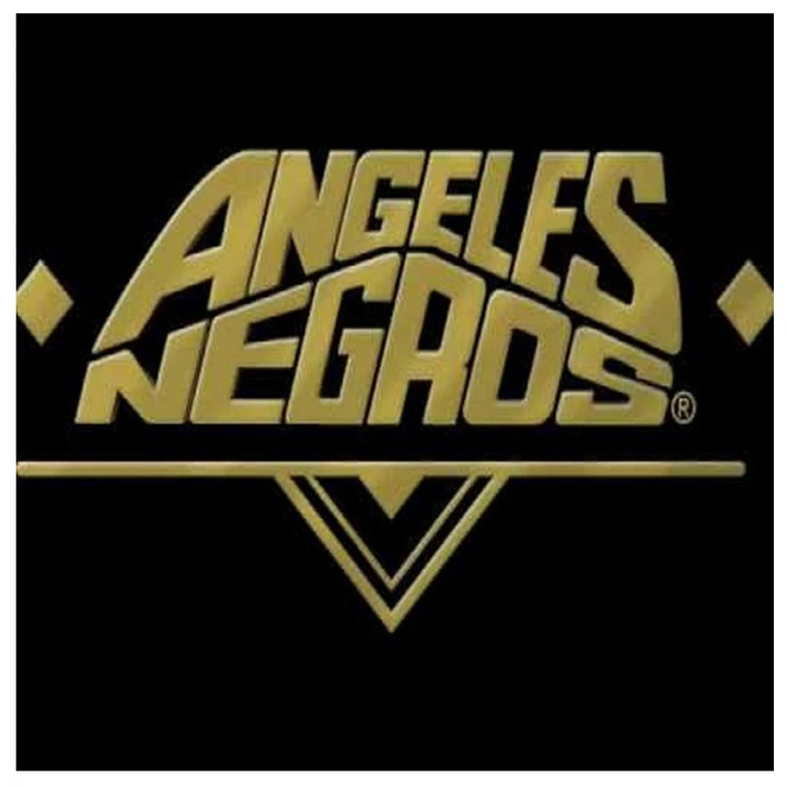 LOS ANGELES NEGROS - GRANDES EXITOS / VINILOS 3