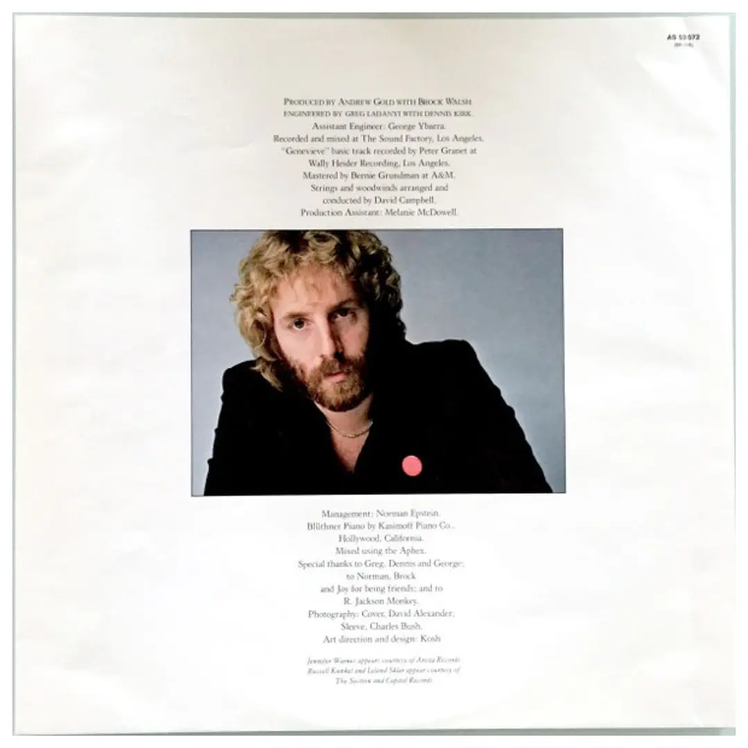 ANDREW GOLD - ALL THIS AND HEAVEN TOO / VINILO USADO 3