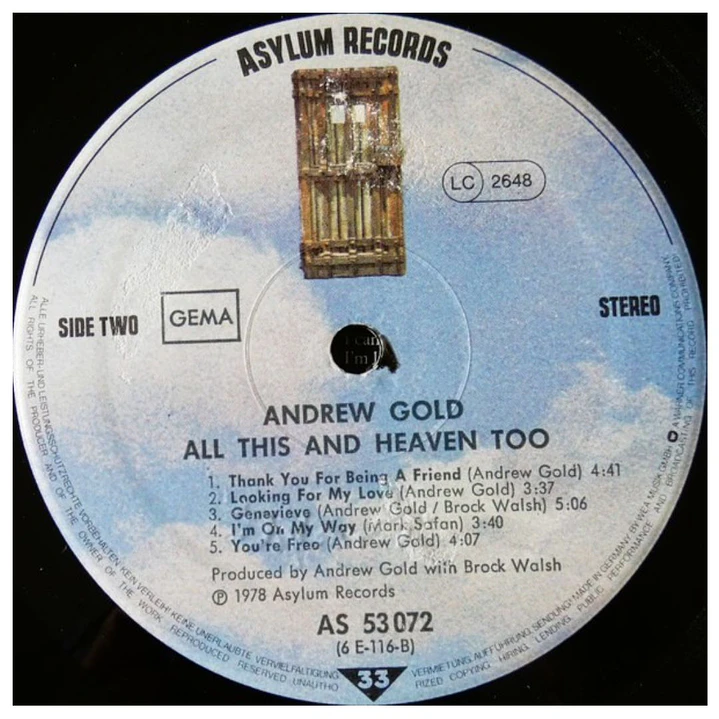 ANDREW GOLD - ALL THIS AND HEAVEN TOO / VINILO USADO 6