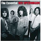 REO SPEEDWAGON - THE ESSENTIAL REO SPEEDWAGON / CD - Miniatura 1