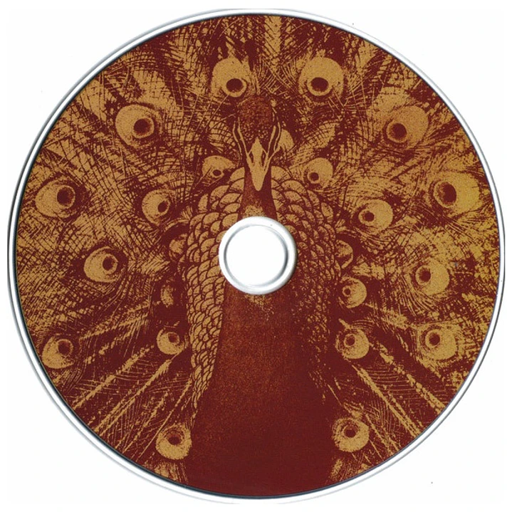 SILK SONIC - AN EVENING WITH SILK SONIC / CD 3