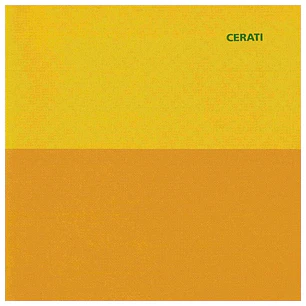 GUSTAVO CERATI - AMOR AMARILLO / CD