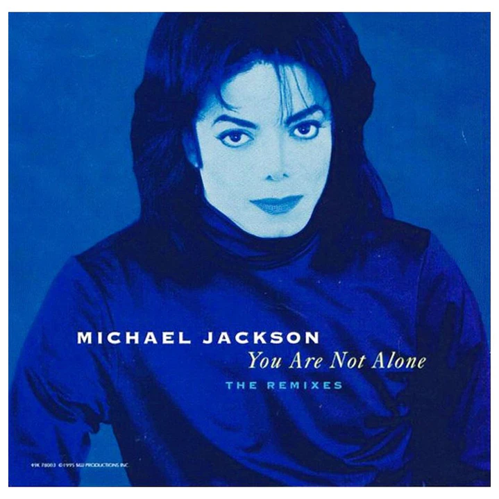 MICHAEL JACKSON - THEY DON'T CARE ABOUT US/YOU ARE NOT ALONE / CD SINGLE USADO 4