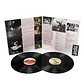 RED HOT CHILI PEPPERS - GREATEST HITS (2LP) / VINILO - Miniatura 3