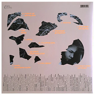 MITSKI - LAND IS INHOSPITABLE AND SO ARE WE / VINILO