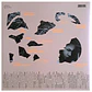 MITSKI - LAND IS INHOSPITABLE AND SO ARE WE / VINILO - Miniatura 2