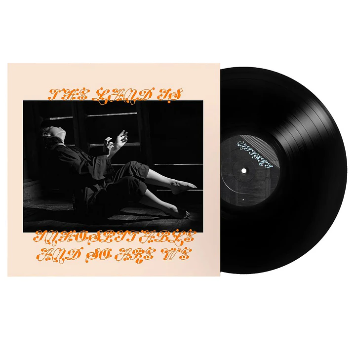 MITSKI - LAND IS INHOSPITABLE AND SO ARE WE / VINILO 3