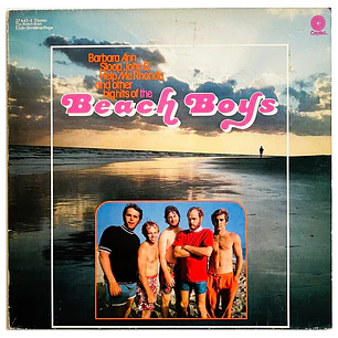 BEACH BOYS - BEACH BOYS HITS / VINILO USADO