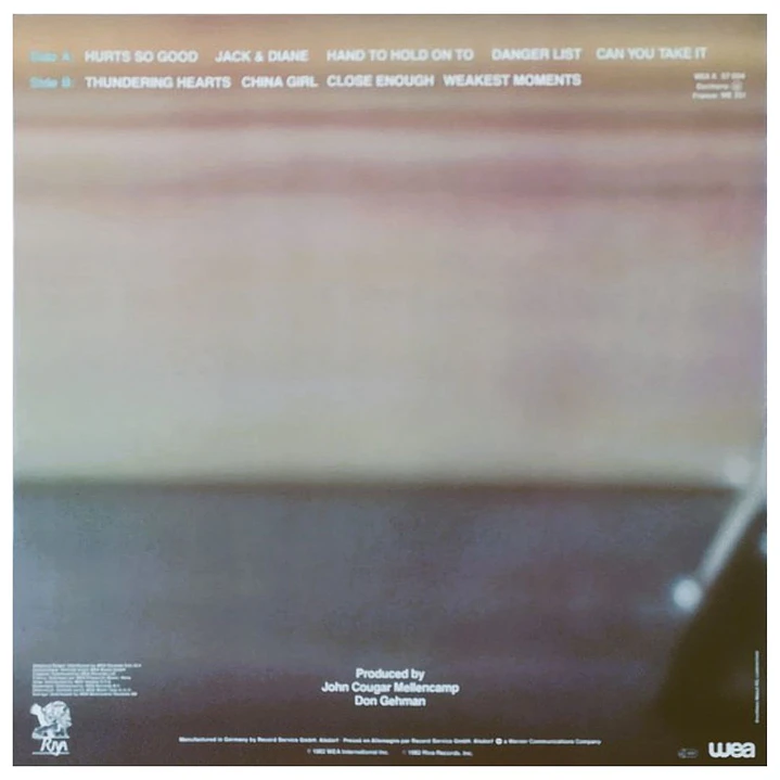 JOHN COUGAR - AMERICAN FOOL / VINILO USADO 2