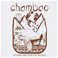 CHAMBAO - 10 AÑOS AROUND THE WORLD (2CD) / CD - Miniatura 4