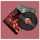 MAROON 5 - SONGS ABOUT JANE / VINILO - Miniatura 3