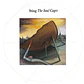 STING - THE SOUL CAGES / VINILO - Miniatura 1