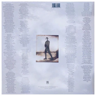 STING - THE SOUL CAGES / VINILO