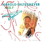 HAROLD FALTERMEYER - AXEL F / 12