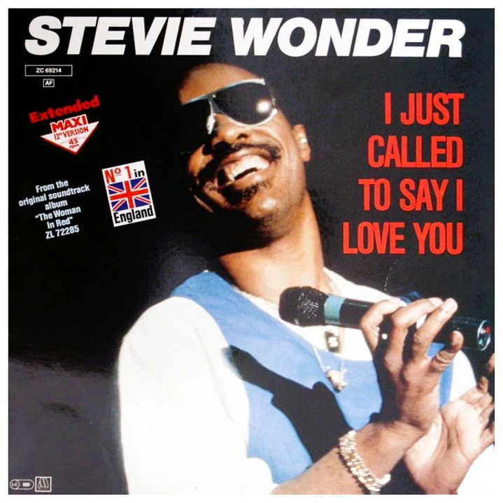 STEVIE WONDER - I JUST CALLED TO SAY I LOVE YOU / 12