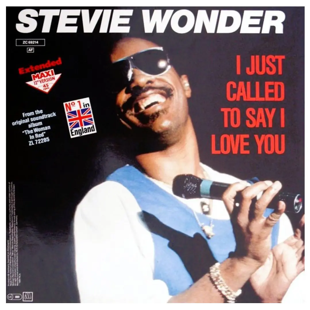 STEVIE WONDER - I JUST CALLED TO SAY I LOVE YOU / 12