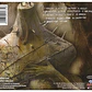 SEETHER - DISCLAIMER II / CD USADO - Miniatura 2