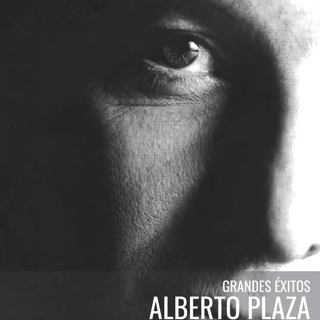 ALBERTO PLAZA - GRANDES EXITOS / VINILO USADO 1