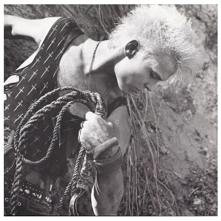 BILLY IDOL - WHIPLASH SMILE / VINILO USADO  3