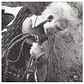 BILLY IDOL - WHIPLASH SMILE / VINILO USADO  - Miniatura 3