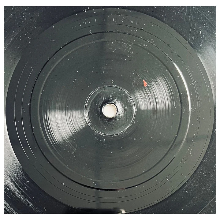 STING - BRING ON THE NIGHT (2LP) / VINILO USADO 9