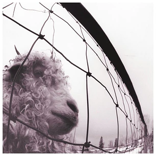 PEARL JAM - VS. (GATEFOLD) / VINILO