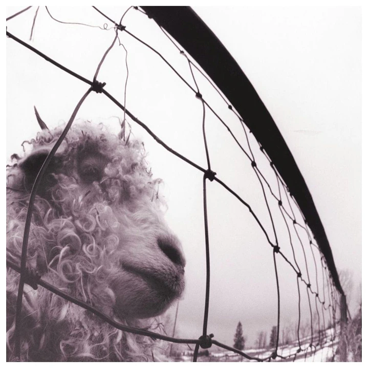 PEARL JAM - VS. (GATEFOLD) / VINILO 1