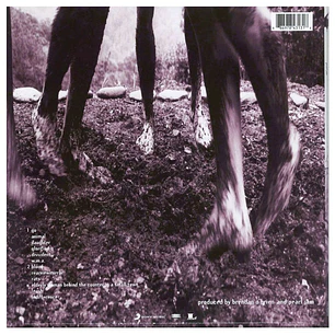 PEARL JAM - VS. (GATEFOLD) / VINILO